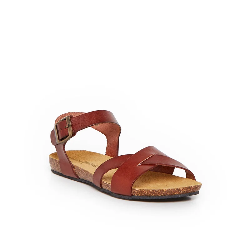 BRIHAT CAMEL