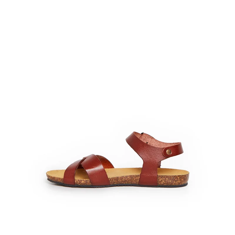 BRIHAT CAMEL