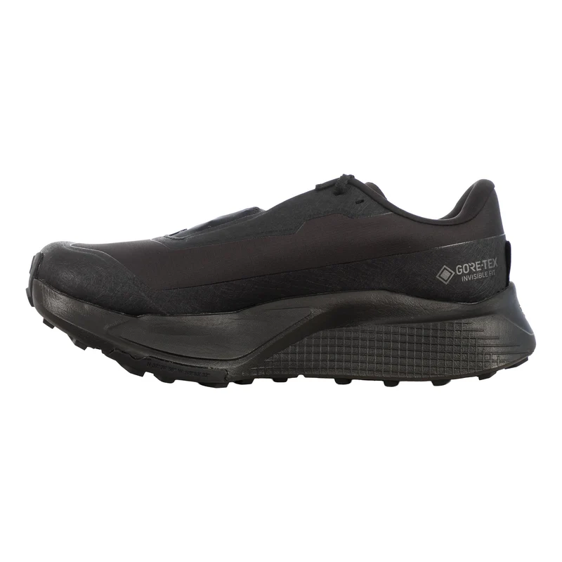 Altamesa 500 V2 GTX Chaussure trail Hommes - noir, noir