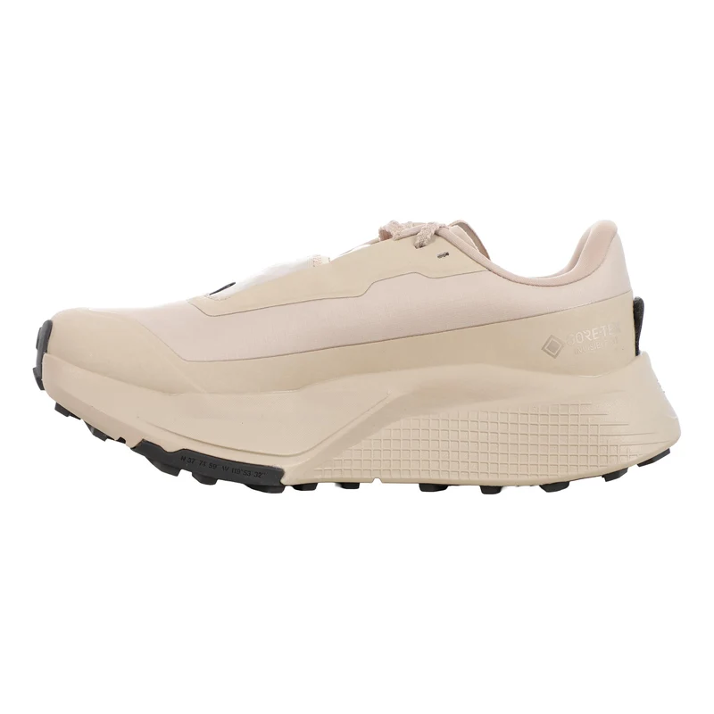 Altamesa 500 V2 GTX Chaussure trail Femmes - beige, beige