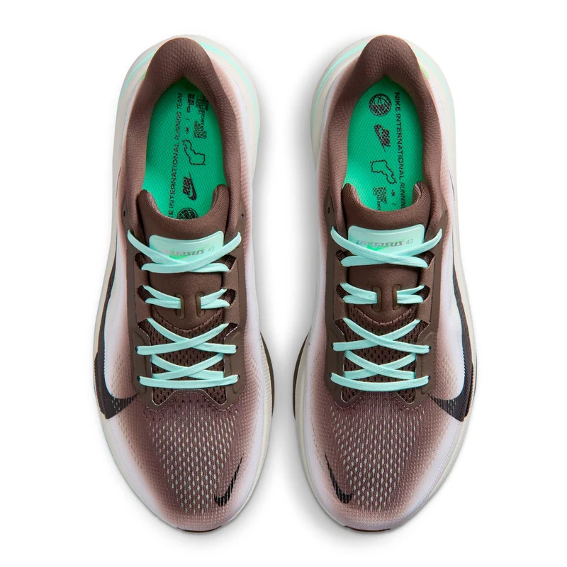 Pegasus 42 Chaussure de running sans stabilisateurs Hommes - marron, lilas