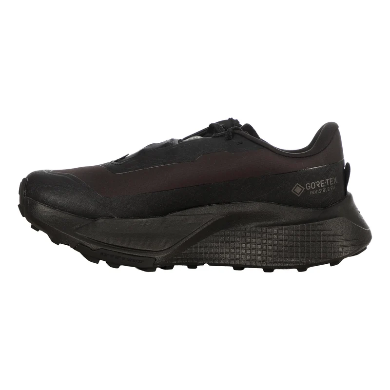 Altamesa 500 V2 GTX Chaussure trail Femmes - noir, noir