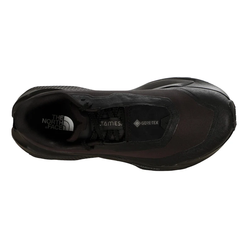 Altamesa 500 V2 GTX Chaussure trail Femmes - noir, noir