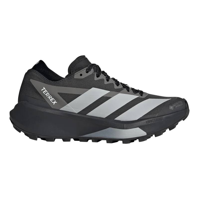 Terrex Agravic GTX 2 Chaussure trail Femmes - gris foncé, gris