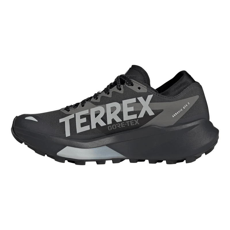 Terrex Agravic GTX 2 Chaussure trail Femmes - gris foncé, gris