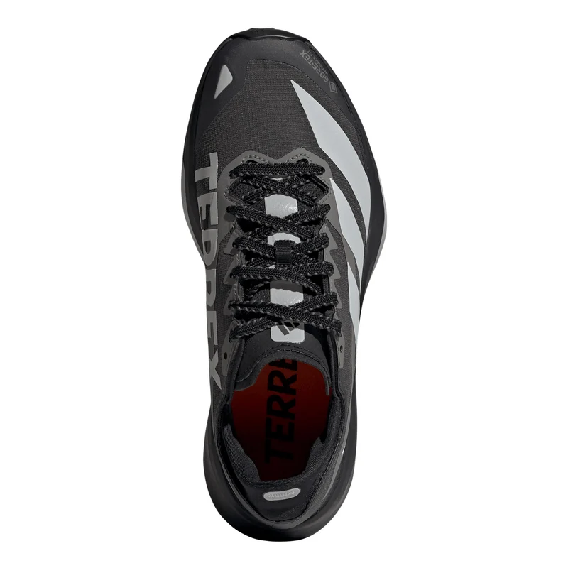 Terrex Agravic GTX 2 Chaussure trail Femmes - gris foncé, gris