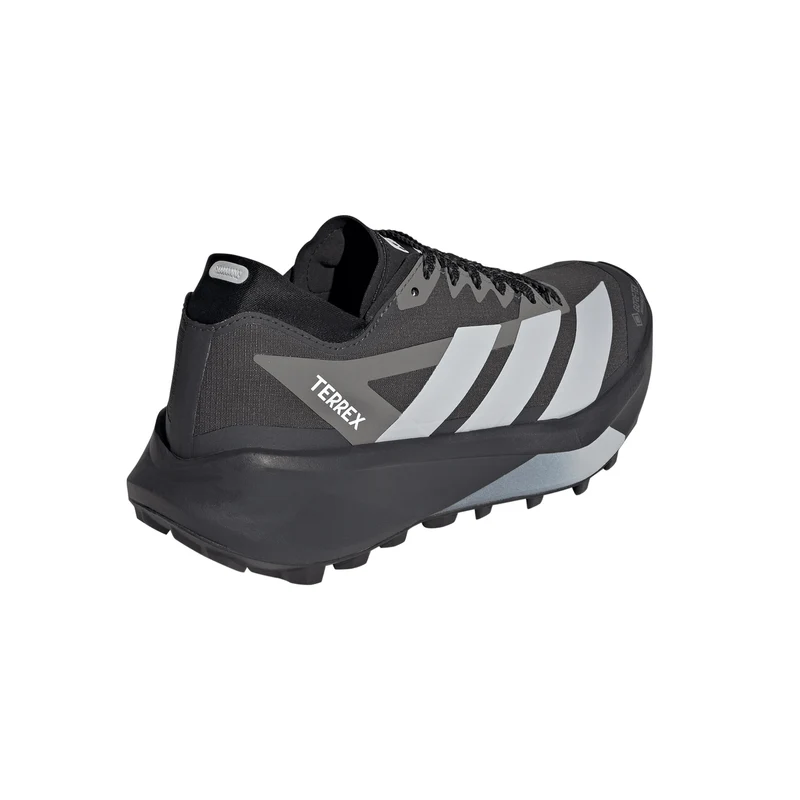 Terrex Agravic GTX 2 Chaussure trail Femmes - gris foncé, gris