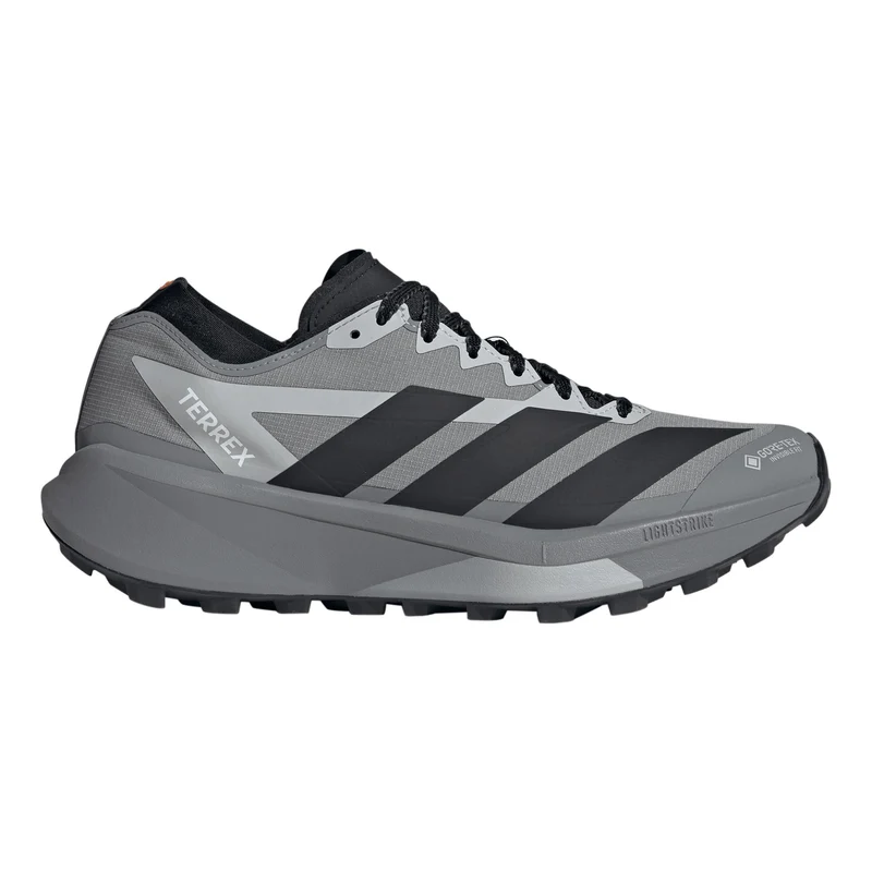 Terrex Agravic GTX 2 Chaussure trail Hommes - gris, gris