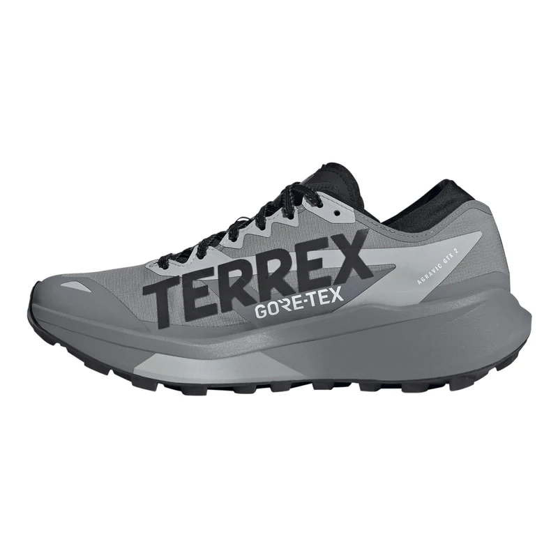Terrex Agravic GTX 2 Chaussure trail Hommes - gris, gris