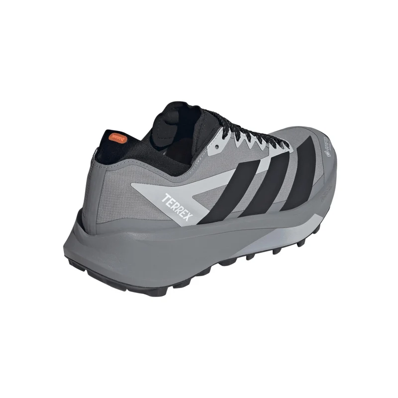 Terrex Agravic GTX 2 Chaussure trail Hommes - gris, gris