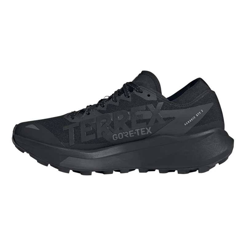 Terrex Agravic GTX 2 Chaussure trail Hommes - noir, gris foncé