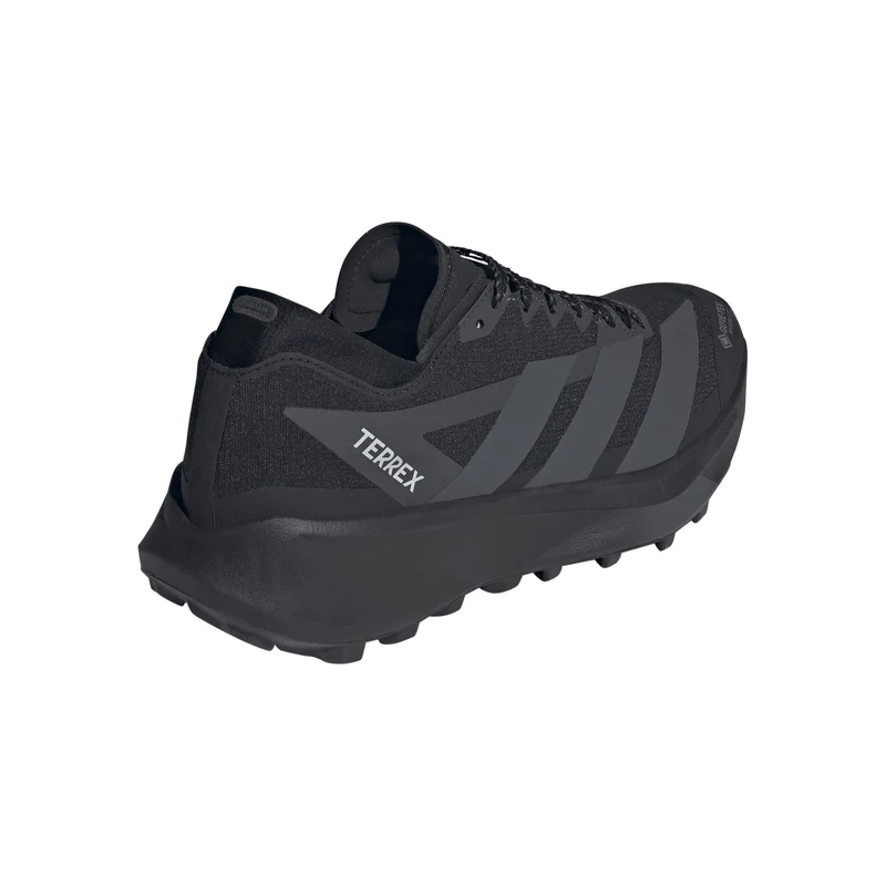Terrex Agravic GTX 2 Chaussure trail Hommes - noir, gris foncé