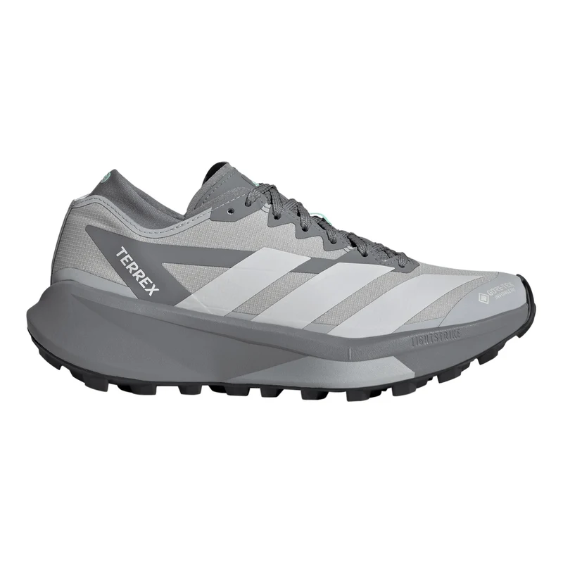 Terrex Agravic GTX 2 Chaussure trail Femmes - gris, gris