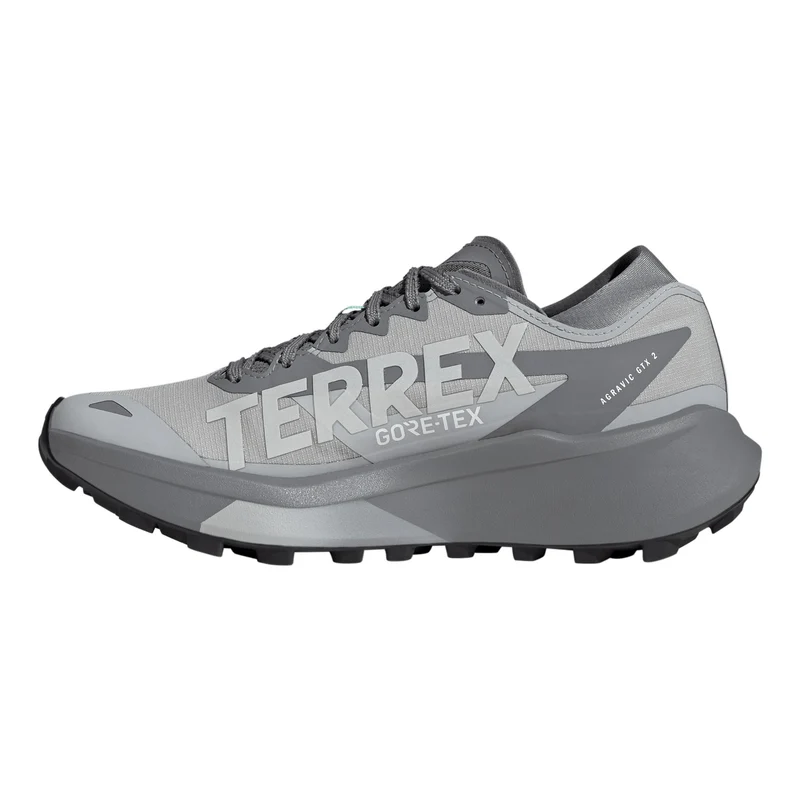 Terrex Agravic GTX 2 Chaussure trail Femmes - gris, gris