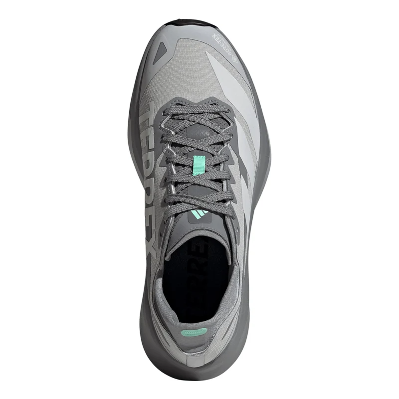 Terrex Agravic GTX 2 Chaussure trail Femmes - gris, gris