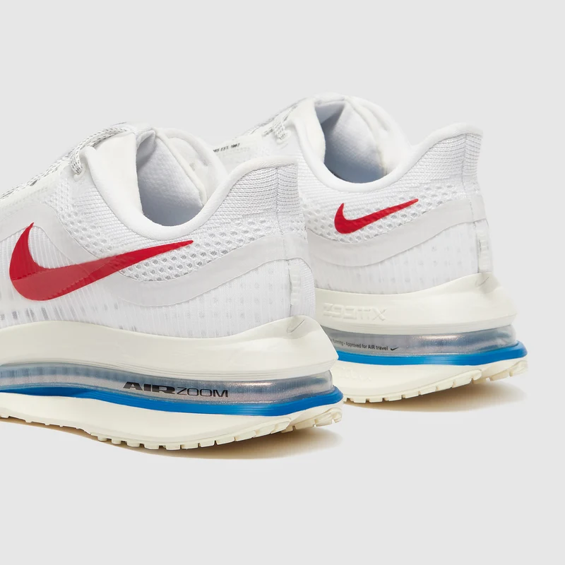 Nike Pegasus Premium pour Femme