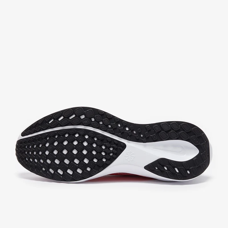 Nike Air Zoom Pegasus 41 pour Femme