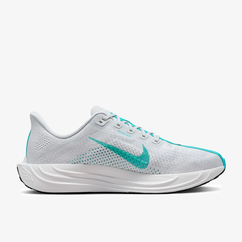 Nike Pegasus Plus