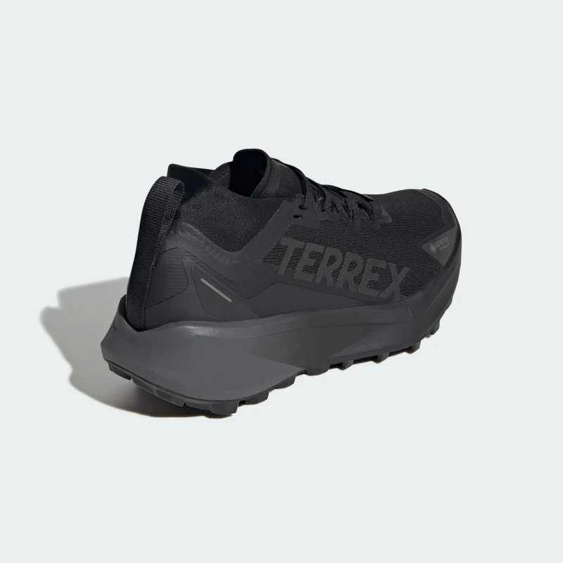adidas Women Chaussure de trail running Terrex Agravic GTX