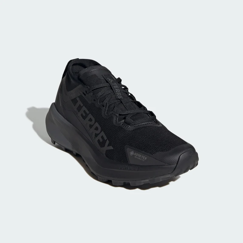 adidas Women Chaussure de trail running Terrex Agravic GTX