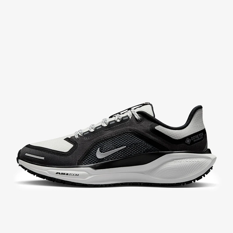 Nike Pegasus 41 GORE-TEX pour Femme