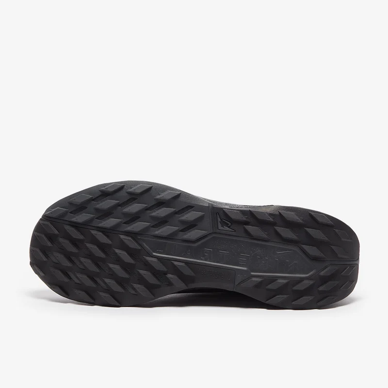 Nike Pegasus Trail 5 GORE-TEX