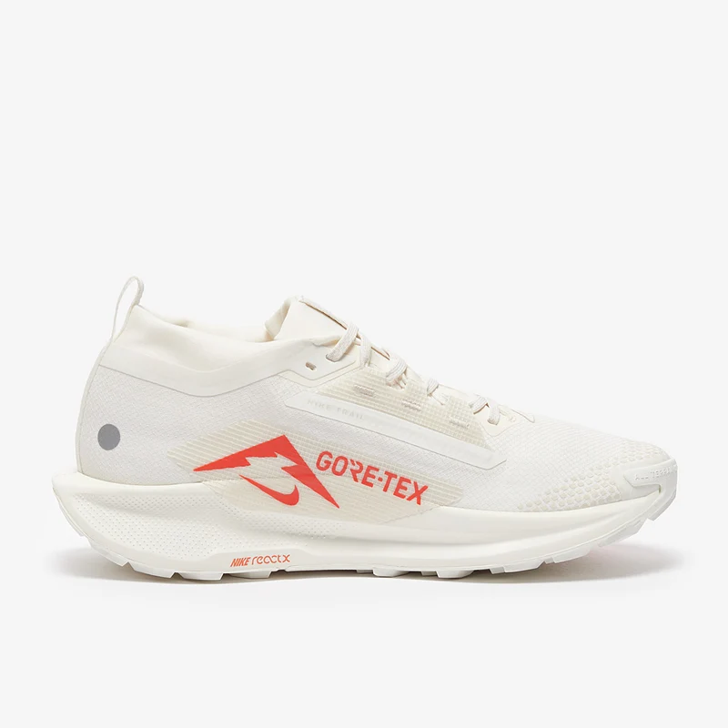Nike Pegasus Trail 5 GORE-TEX