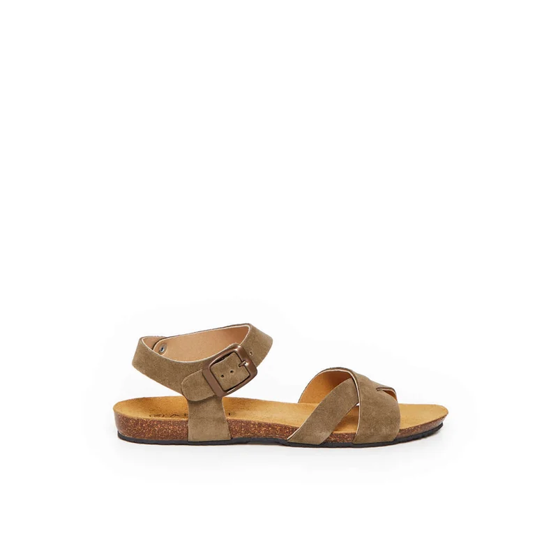 BREHAT KAKI