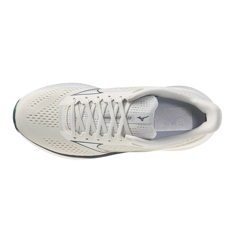 Wave Inspire 22 Chaussure de running avec stabilisateurs Hommes - beige, gris