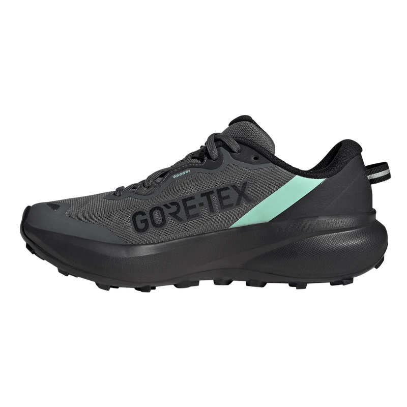 Terrex Tracefinder Plus GTX Chaussure trail Femmes - gris foncé, noir