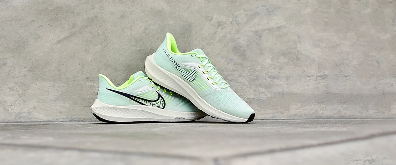 Nike Femme Air Zoom Pegasus 39