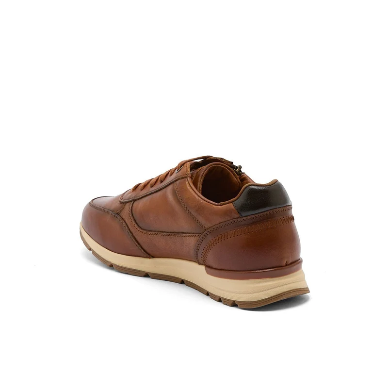 AUXENCE CAMEL