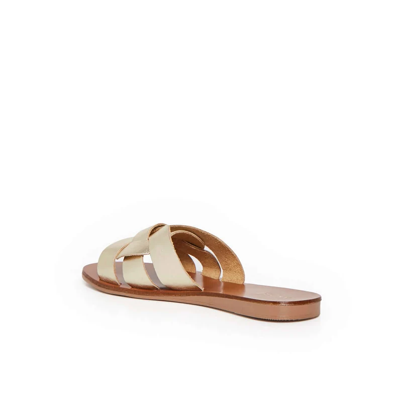 SAMOA OR