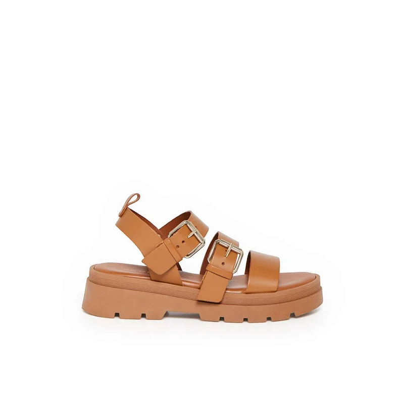 ADONIS CAMEL