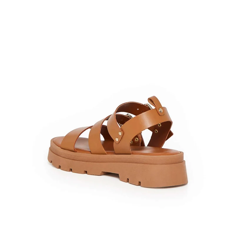 ADONIS CAMEL