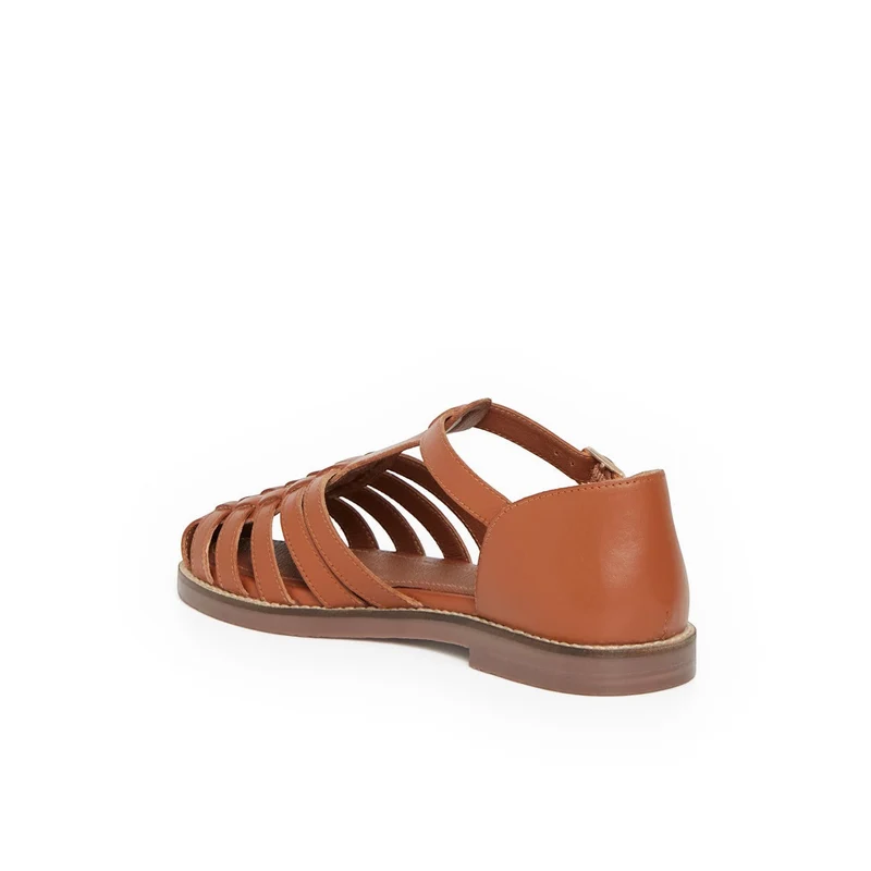 PETRONILLE CAMEL