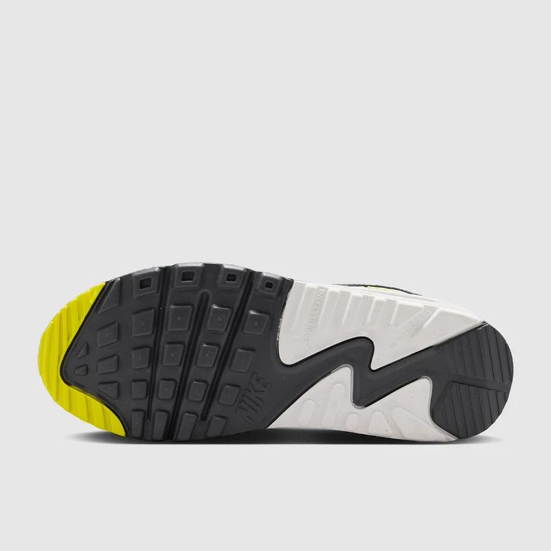 Nike Sportswear Older Kids Air Max 90 (GS)