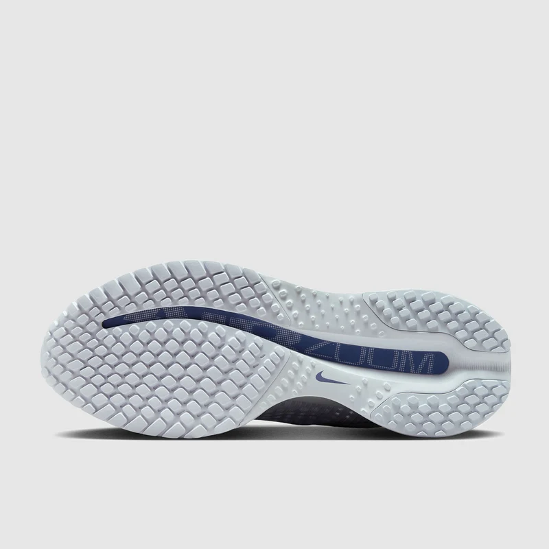 Nike Pegasus Premium pour Femme