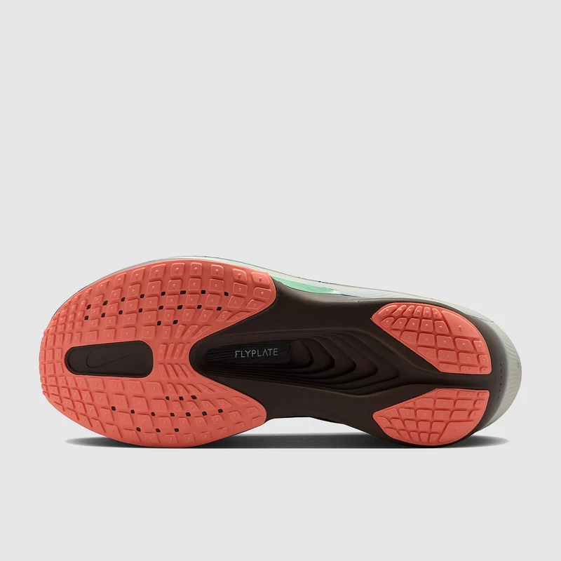 Nike Zoom Fly 6