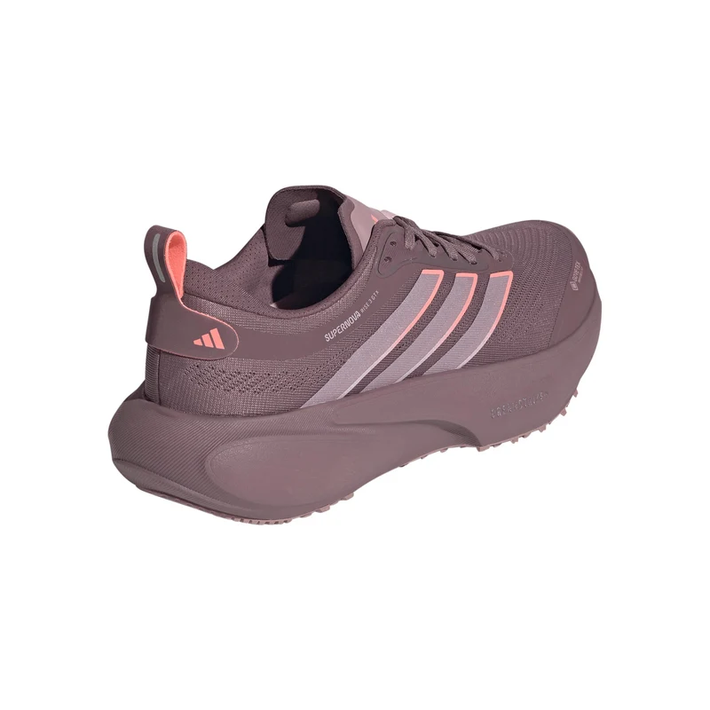Supernova Rise 3 GTX Chaussure de running sans stabilisateurs Femmes - mauve, rose