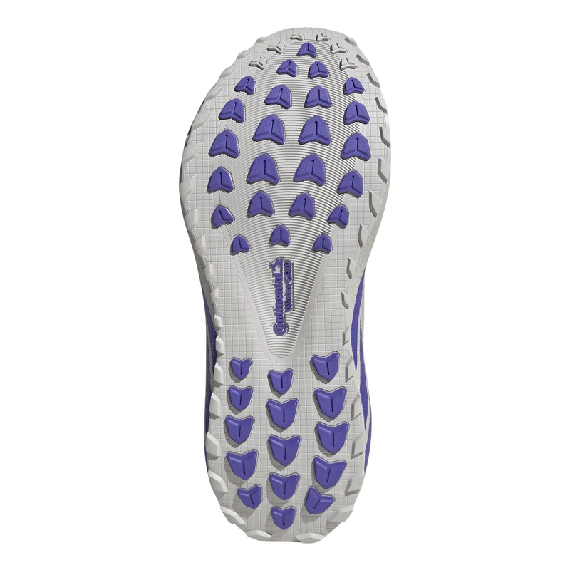 Hyperboost GTX Chaussure de running sans stabilisateurs Femmes - gris, lilas