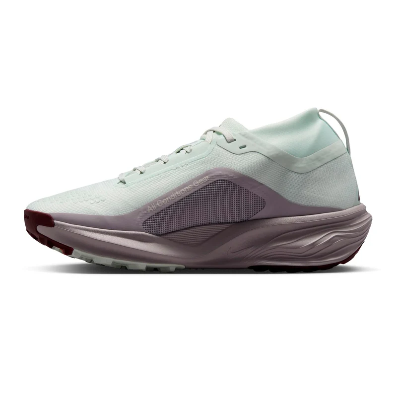 ACG Pegasus Trail GTX Chaussure trail Femmes - vert, lilas