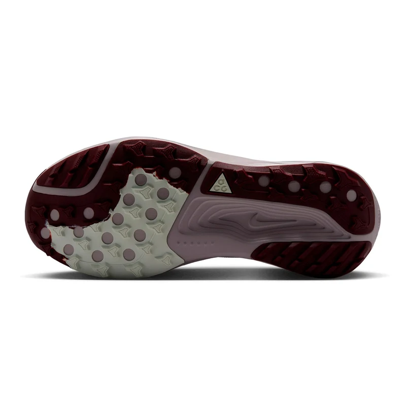 ACG Pegasus Trail GTX Chaussure trail Femmes - vert, lilas