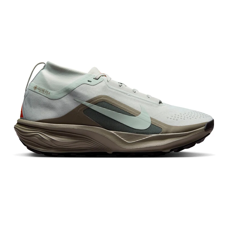 ACG Pegasus Trail GTX Chaussure trail Hommes - vert olive, kaki
