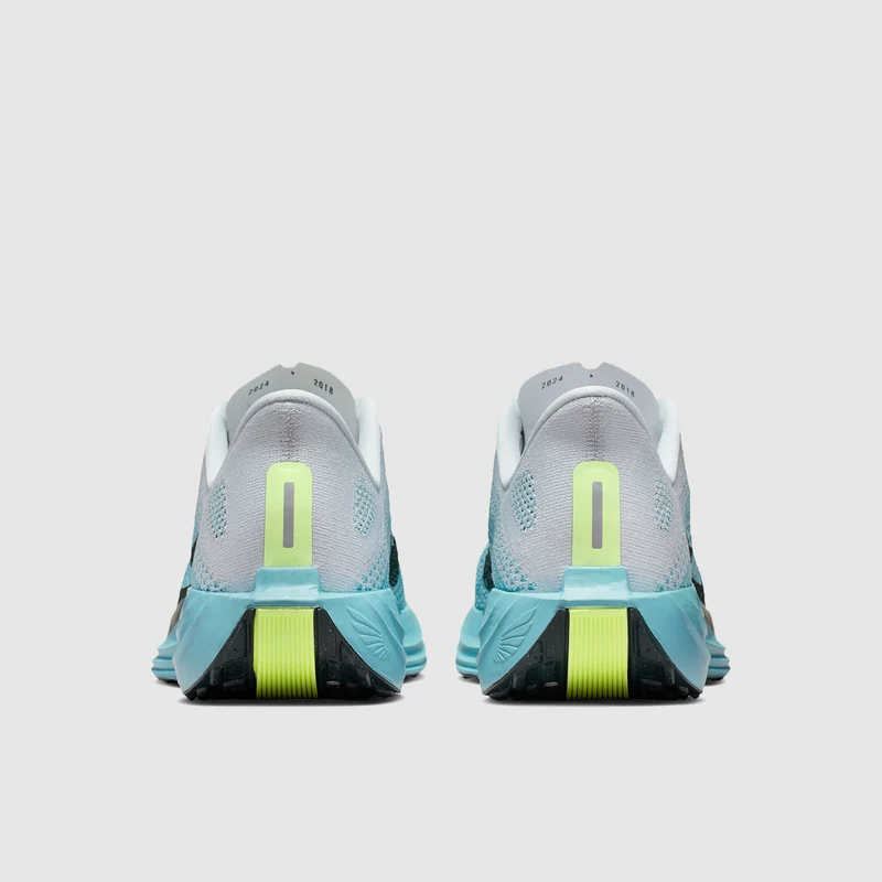 Nike Pegasus Plus