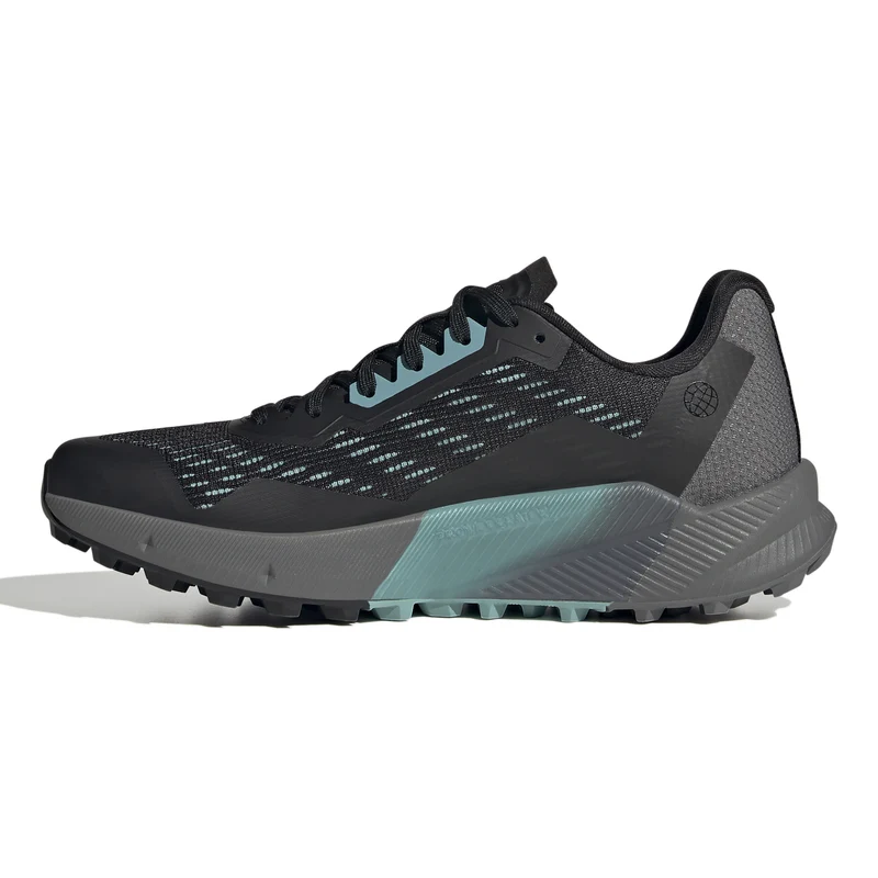 Agravic Flow 2 Chaussure trail Femmes - noir, gris