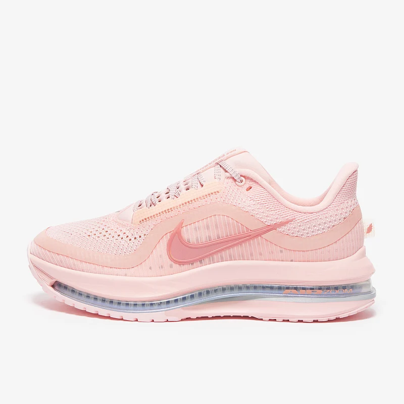 Nike Pegasus Premium pour Femme